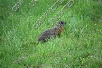 tn_060212S_7129