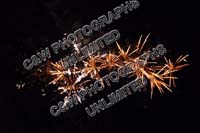 tn_082512S_5009